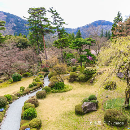 日本富士山+雕刻森林美术馆一日游