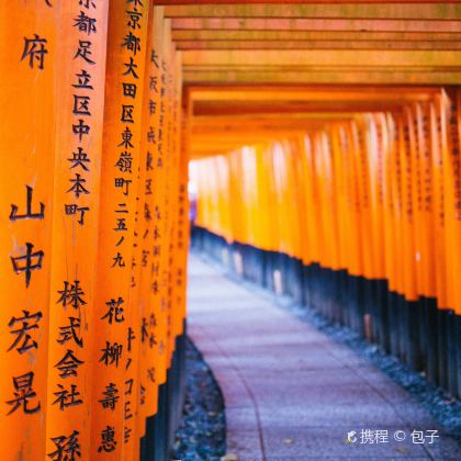 日本大阪+京都+奈良7日6晚私家团 日本大阪+京都+奈良7日6晚私家团