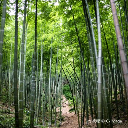 安吉+莫干山3日2晚私家团