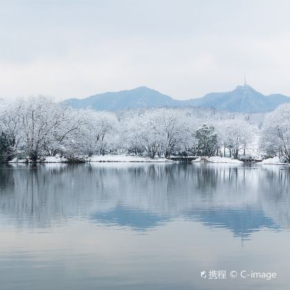 杭州+安吉5日4晚私家团