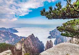 travel picture