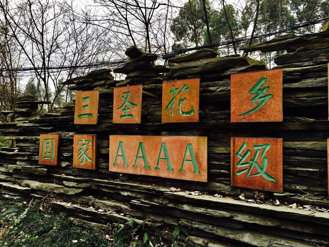 烟花三月周末自驾,成都锦江白鹭湿地公园周边游