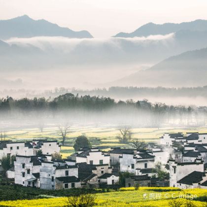 宏村景区+屯溪老街2日1晚跟团游