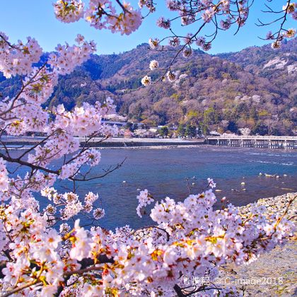 日本京都岚山+柳谷寺+嵯峨野 竹林小道+清水寺+八坂庚申堂一日游