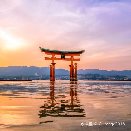 日本8日7晚私家团