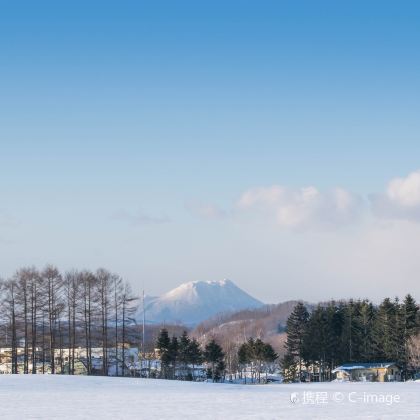 北海道札幌+洞爷湖+小樽运河+登别+函馆7日6晚私家团