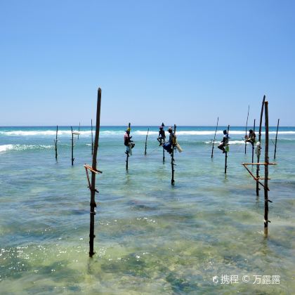 斯里兰卡7日跟团游 斯里兰卡7日跟团游