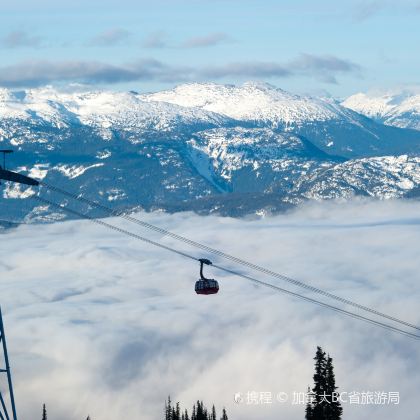 加拿大惠斯勒山+惠斯勒滑雪度假村+横渡峰顶缆车一日游 加拿大惠斯勒山+惠斯勒滑雪度假村+横渡峰顶缆车一日游