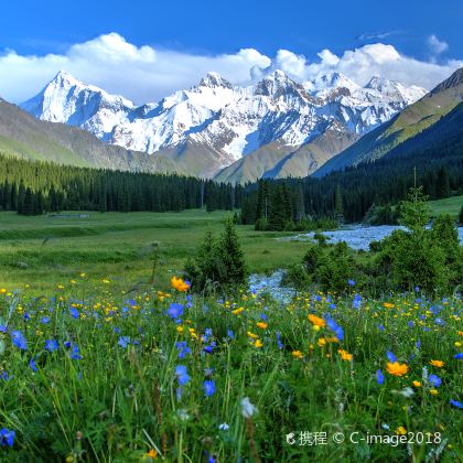 新疆乌鲁木齐+伊犁+夏塔古道国家森林公园+恰西草原风景旅游区8日7晚拼小团