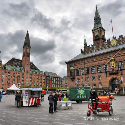 丹麦哥本哈根丹麦国立美术馆+小美人鱼像+克里斯蒂安堡宫一日游
