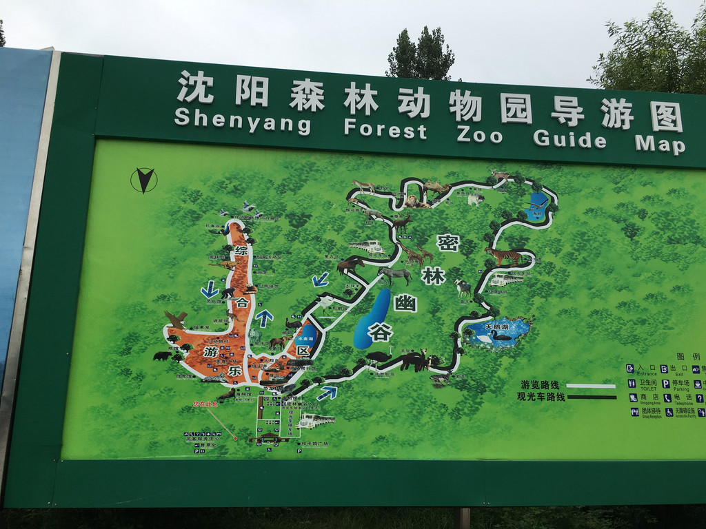 我的泰然1岁半沈阳森林野生动物园7月23日游记