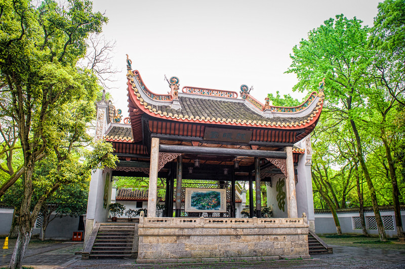 常常很早就爬起来跑到岳麓山顶去看日出;看到日出就拍手欢呼"赫曦