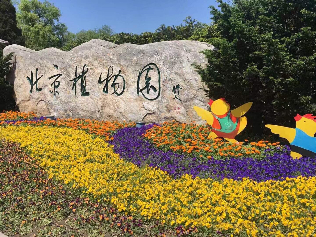 【北京】植物园…花儿的海洋