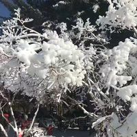 韩国京畿道春川市南怡岛一日游 韩国京畿道春川市南怡岛一日游