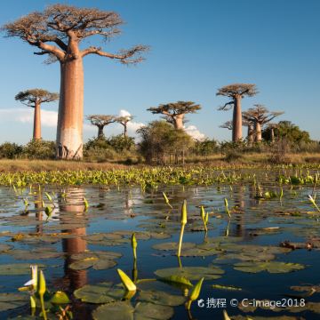 马达加斯加塔那那利佛9日8晚自由行 马达加斯加塔那那利佛9日8晚自由行