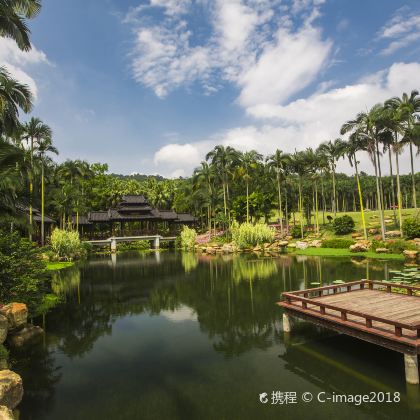 南宁+德天跨国瀑布景区+花山岩画景区+通灵大峡谷5日4晚私家团