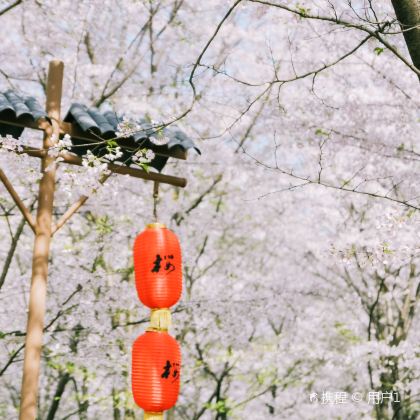 湖北武汉+黄鹤楼+户部巷+东湖+黄冈5日4晚私家团