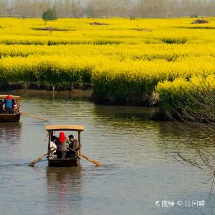 泰州+兴化2日1晚私家团 泰州+兴化2日1晚私家团