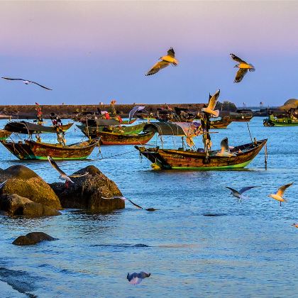 2人起私家团三娘湾钦州老街园博园一日活动钦州南宁上门接送 2人起私家团三娘湾钦州老街园博园一日活动钦州南宁上门接送