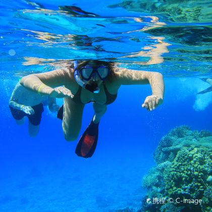 印度尼西亚雅加达首都特区雅加达千岛群岛潜水一日游