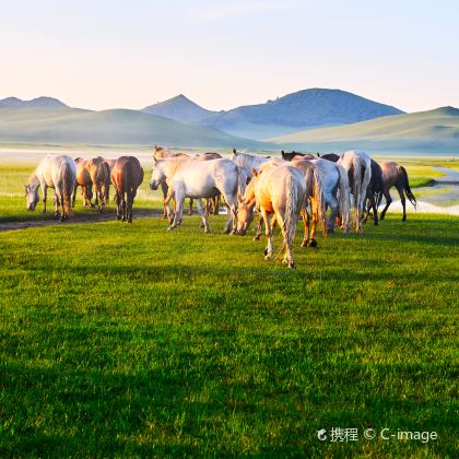 北戴河+山海关+避暑山庄+普陀宗乘之庙+普宁寺+坝上+塞罕坝+木兰围场+乌兰布统草原+金山岭长城6日5晚私家团