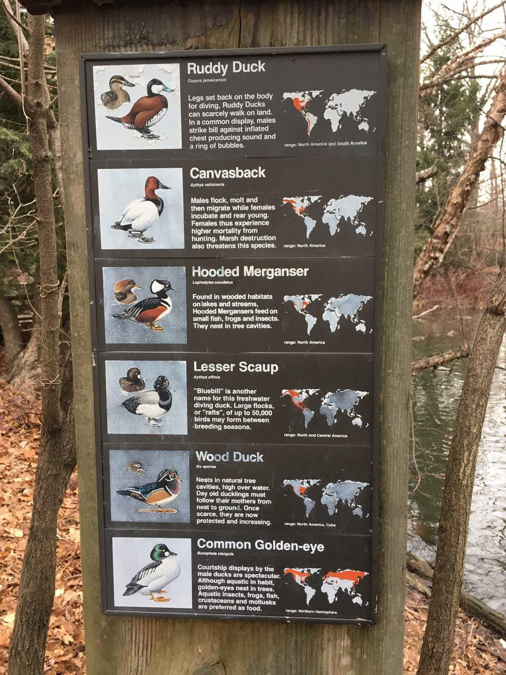 布朗克斯动物园                            