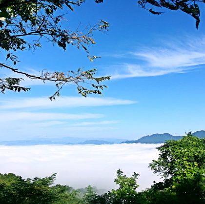 中国陕西商洛塔云山景区一日游 中国陕西商洛塔云山景区一日游