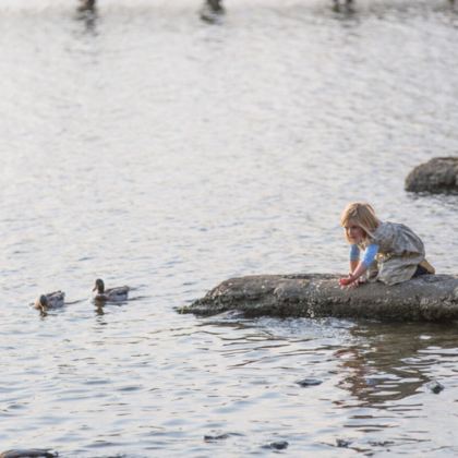 英国温德米尔+科尼斯顿湖+英国湖区国家公园一日游 英国温德米尔+科尼斯顿湖+英国湖区国家公园一日游