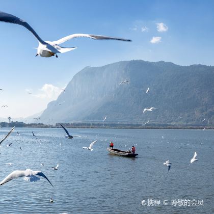 昆明+石林+九乡+轿子雪山+滇池3日2晚私家团