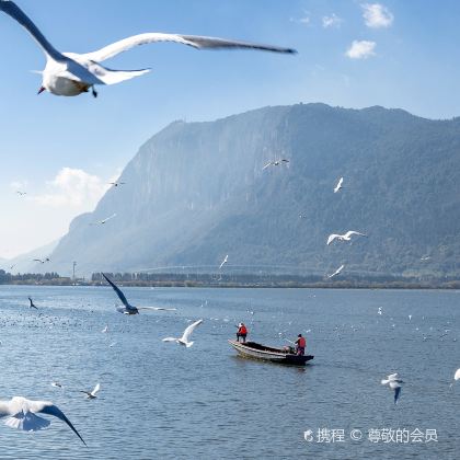 昆明+大理市+丽江7日自由行 昆明+大理市+丽江7日自由行