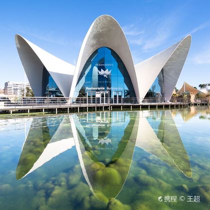 瓦伦西亚+艺术科学城+巴伦西亚海洋公园+瓦伦西亚主教座堂+塞拉诺斯塔一日游 瓦伦西亚+艺术科学城+巴伦西亚海洋公园+瓦伦西亚主教座堂+塞拉诺斯塔一日游
