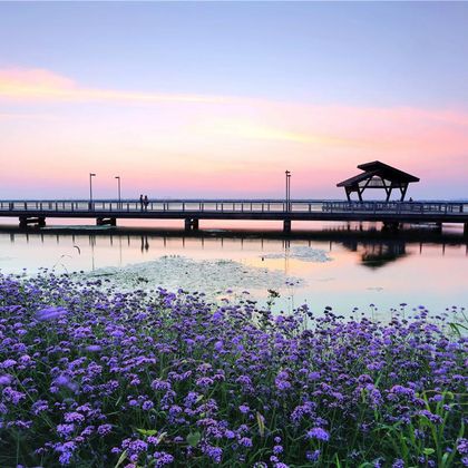 苏州阳澄湖半岛旅游度假区+比斯特苏州购物村+莲池湖公园+云杉湖公园+浅水湾商业街一日游 苏州阳澄湖半岛旅游度假区+比斯特苏州购物村+莲池湖公园+云杉湖公园+浅水湾商业街一日游