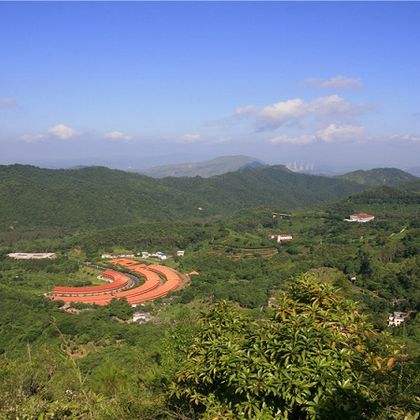 广东梅州雁南飞茶田景区+叶剑英纪念园+故居一日活动 广东梅州雁南飞茶田景区+叶剑英纪念园+故居一日活动