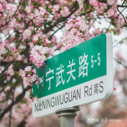 山东青岛+威海+蓬莱区+荣成+烟台5日4晚跟团游 山东青岛+威海+蓬莱区+荣成+烟台5日4晚跟团游