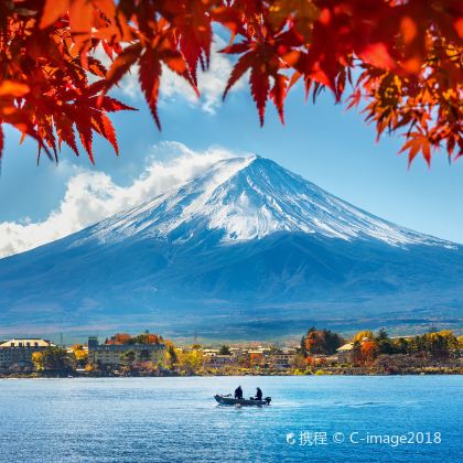 日本东京10日8晚跟团游 日本东京10日8晚跟团游