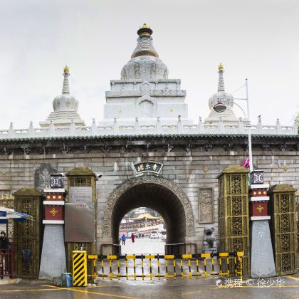 青海湖景区+塔尔寺+贵德国家地质公园阿什贡七彩峰丛景区4日3晚私家团 青海湖景区+塔尔寺+贵德国家地质公园阿什贡七彩峰丛景区4日3晚私家团