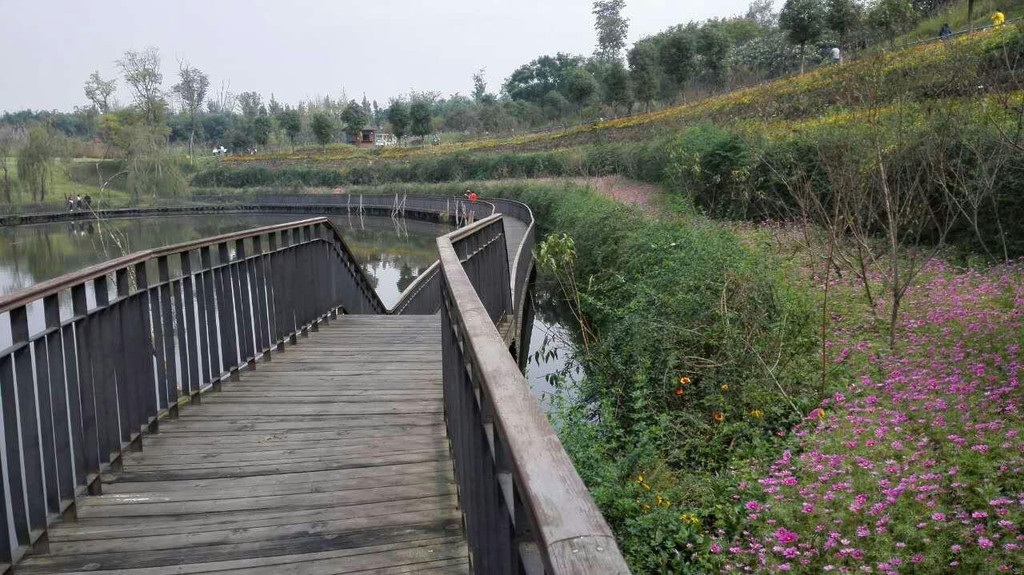 成都—白鹭湾湿地公园