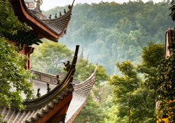 travel picture