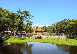 travel picture