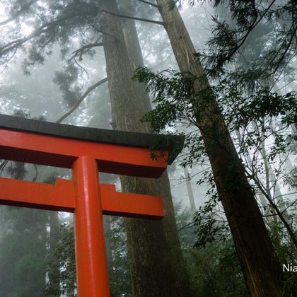 日本+久保田一竹美术馆+河口湖天上山公园+河口湖一日游