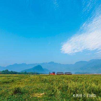 神农架+大九湖国家湿地公园3日2晚私家团