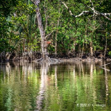 新加坡+民丹岛6日5晚拼小团 新加坡+民丹岛6日5晚拼小团