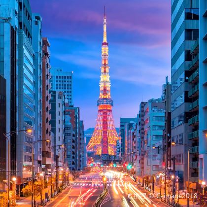 日本东京+富士山+千叶市2日1晚跟团游 日本东京+富士山+千叶市2日1晚跟团游