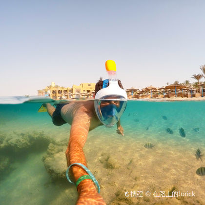 埃及赫尔格达+红海潜水一日游