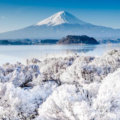 日本东京+富士山+河口湖+忍野八海7日6晚半自助游