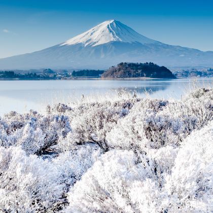 日本东京+富士山+大阪+京都+奈良7日6晚半自助游