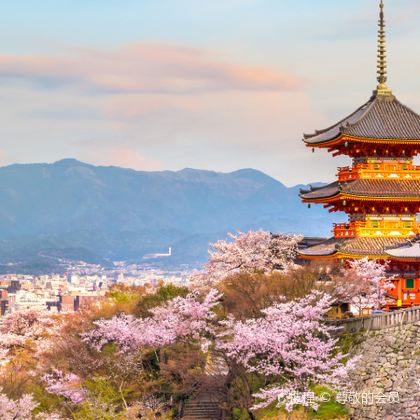 日本大阪+京都+奈良市+神户5日4晚跟团游 日本大阪+京都+奈良市+神户5日4晚跟团游