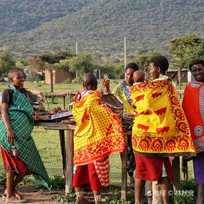 马赛马拉国家保护区+肯尼亚马赛村落+马拉河二日游