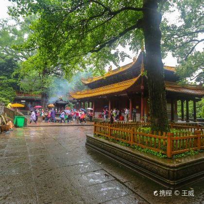 浙江普陀山3日2晚跟团游 浙江普陀山3日2晚跟团游