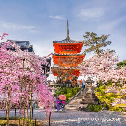 日本大阪+京都+奈良+神户2日1晚跟团游